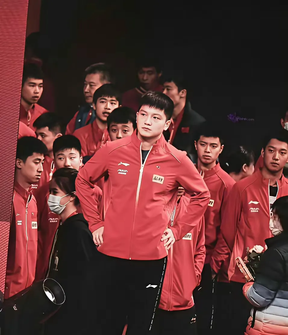 英格兰队翻盘韩国队,樊振东惊艳四座的简单介绍 英格兰队翻盘韩国队,樊振东惊艳四座的简单介绍