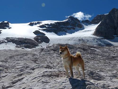 欧洲冠军最后的沉沦,卡拉斯科独扛大旗,难掩比利时黄金一代的黄昏