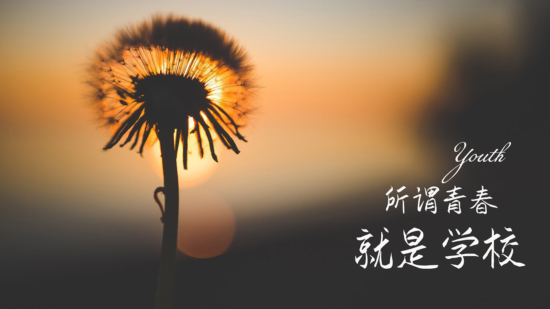 致命节奏，法比尼奥如何成为土耳其破局日本的棋眼