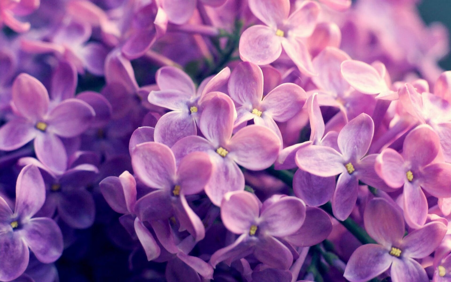 跨界接管，当杜兰特在F1赛道上投出致命超车