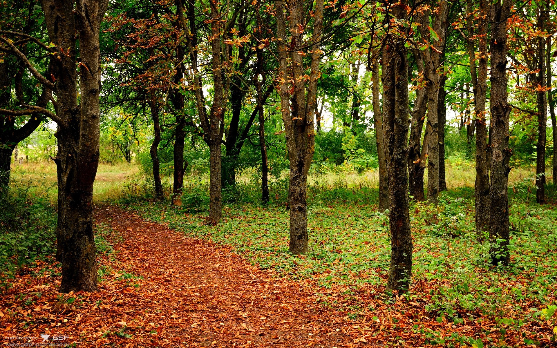 篮足交汇的奇迹夜，当总决赛遇见欧冠