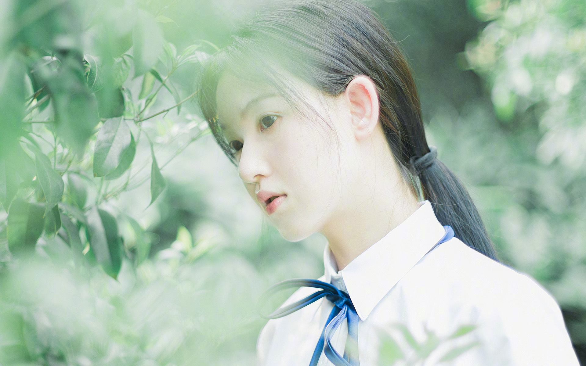 终结悬念！布伦森40+史诗级表演，浙江提前让深圳陷入绝境