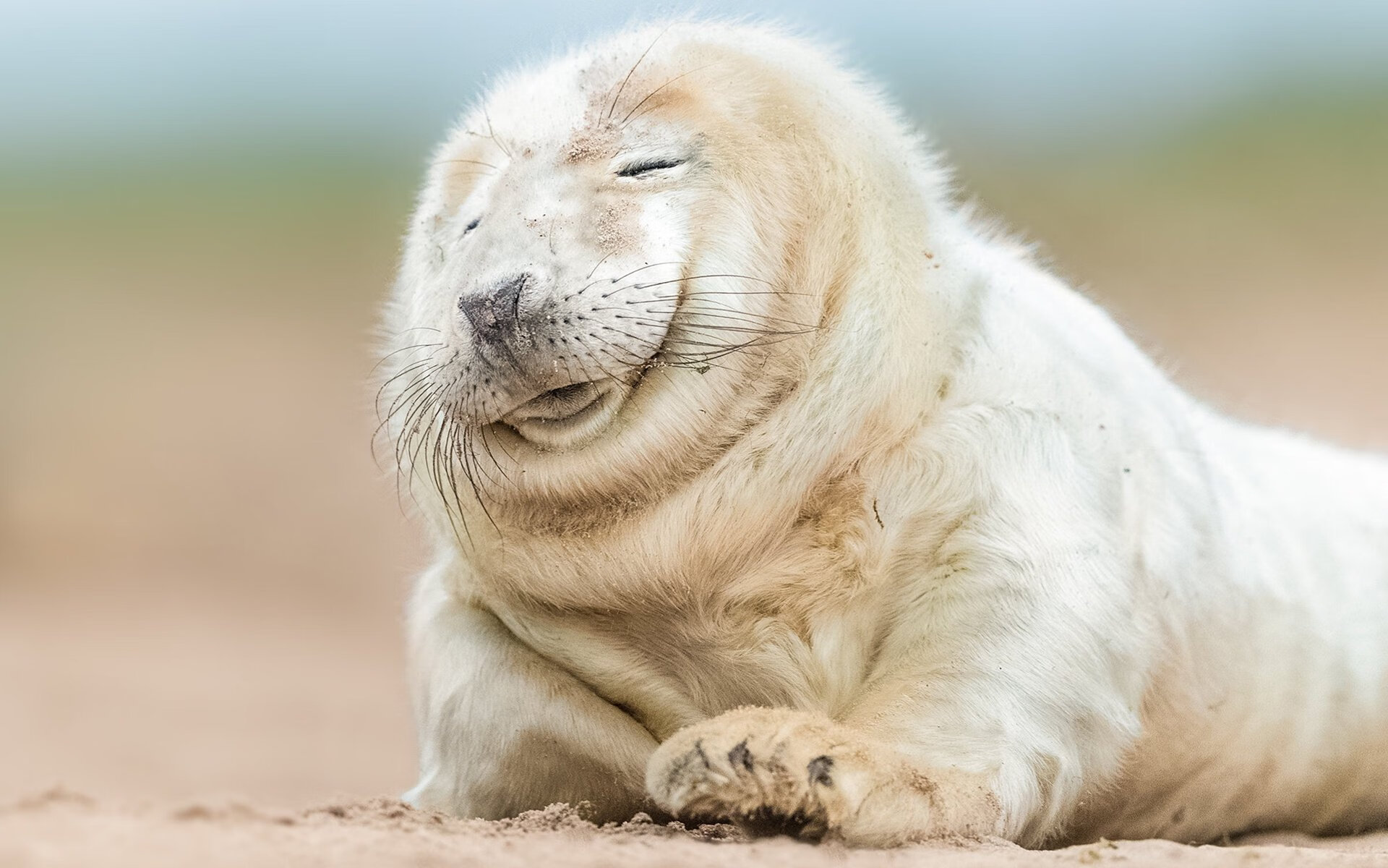 平行时空的终极假设，当马刺与勇士的传奇，在欧冠决赛的绿茵场重燃