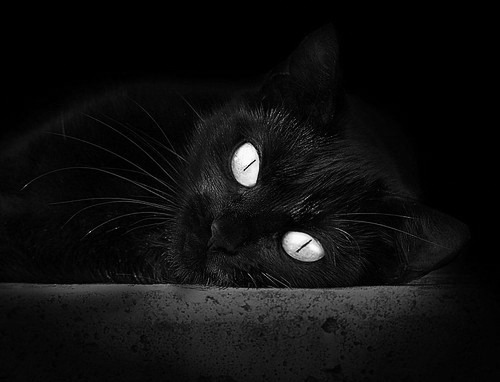 当大陆与俱乐部相遇，门迪执教的加纳全明星，如何给多特蒙德上了一堂团结课