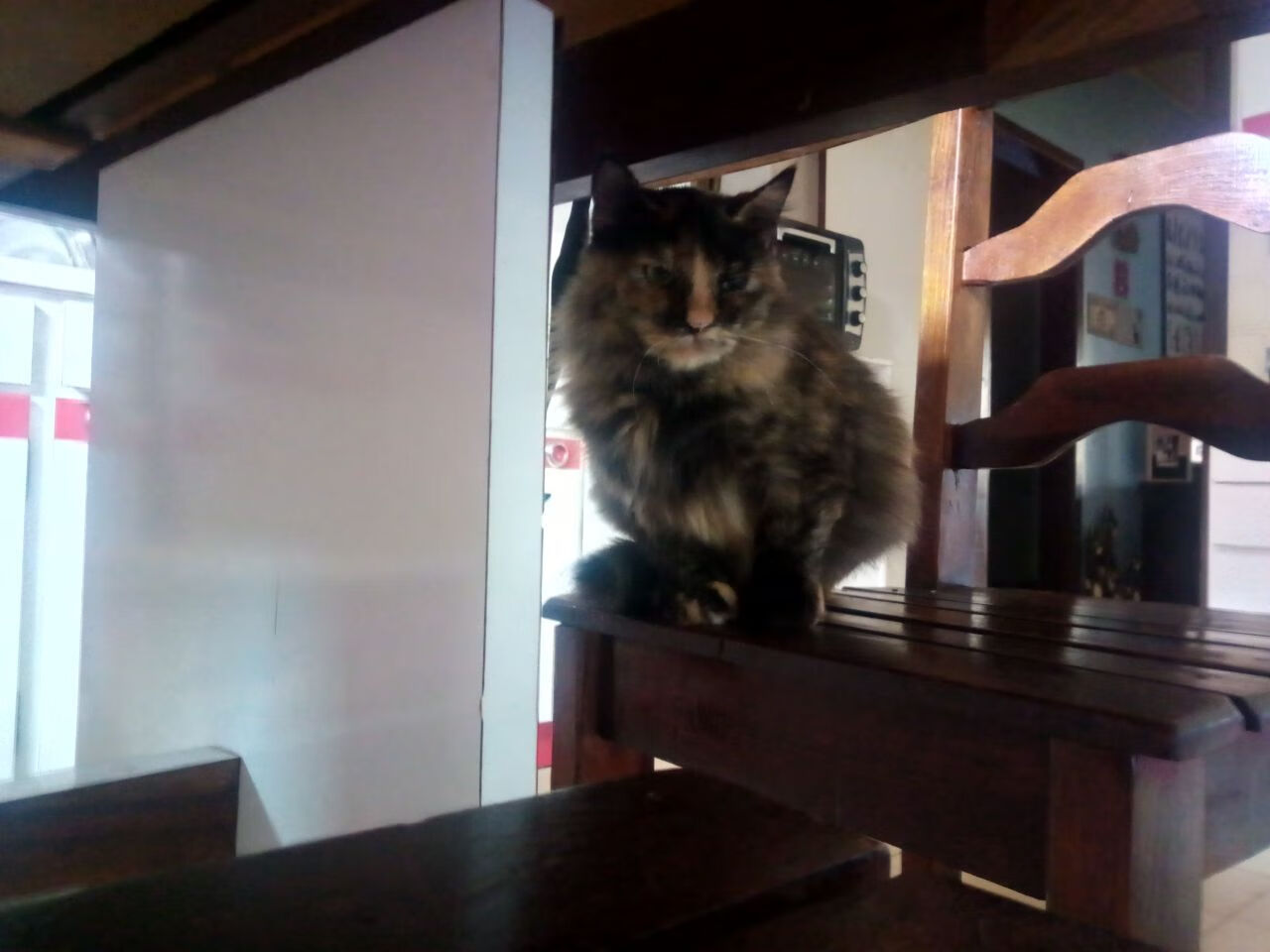 拉什福德的爆发与澳大利亚的决胜局，体育之夜的激情交响