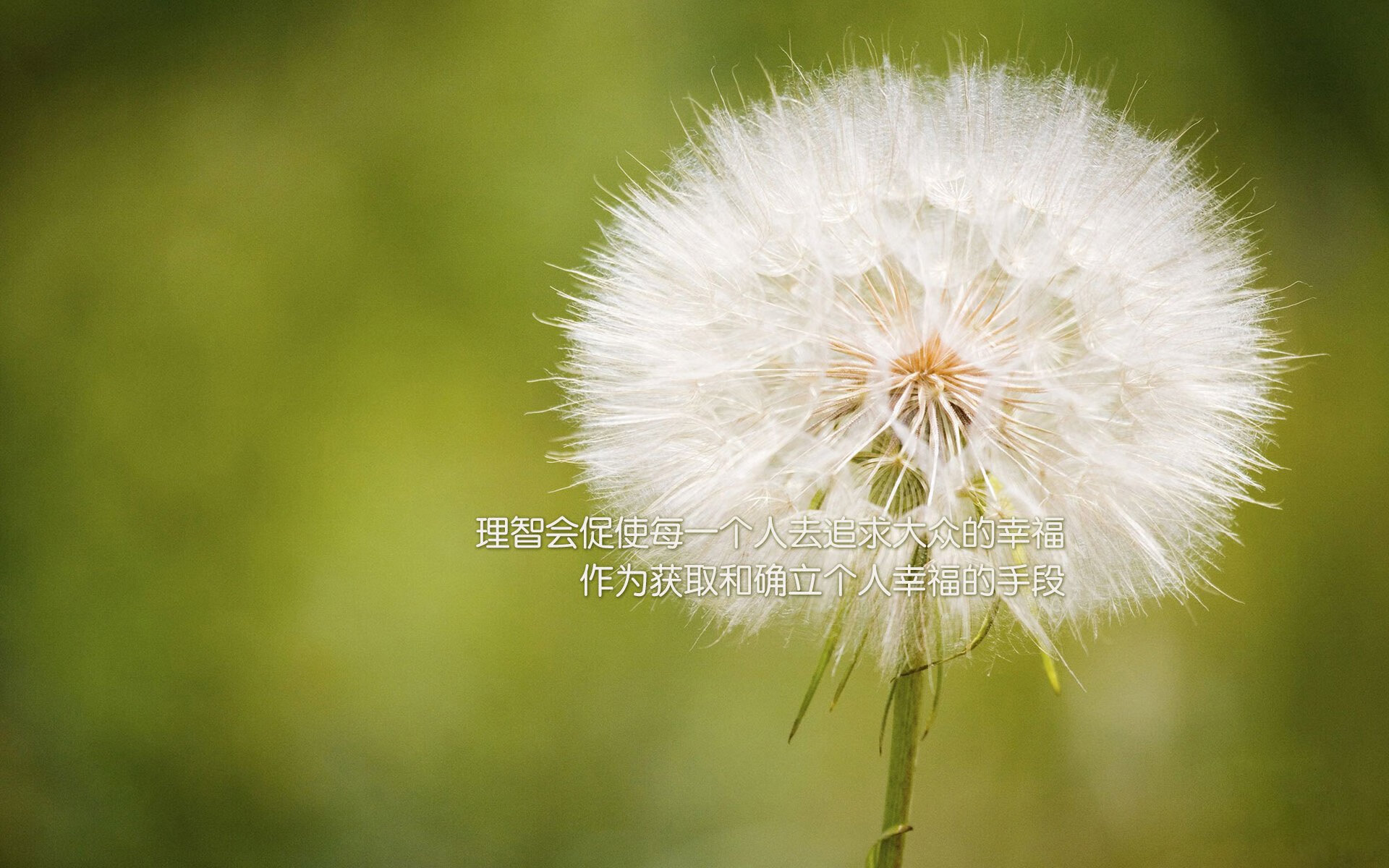 马克西生涯之夜，步行者逆转篮网，新星照亮赛场