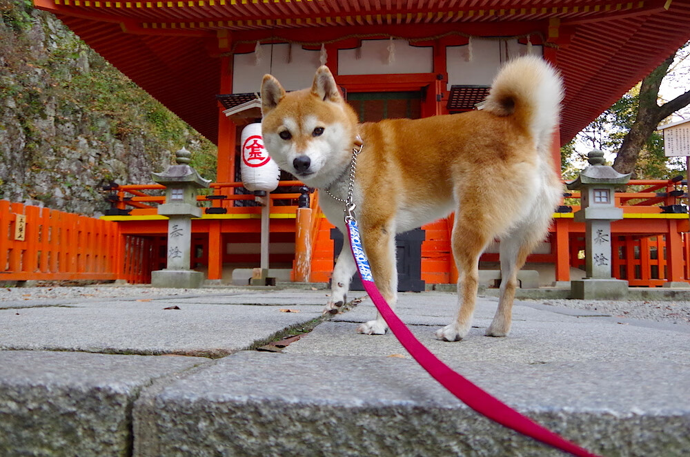 破壁时刻，哈兰德与伊拉克—两种突破，一种叙事