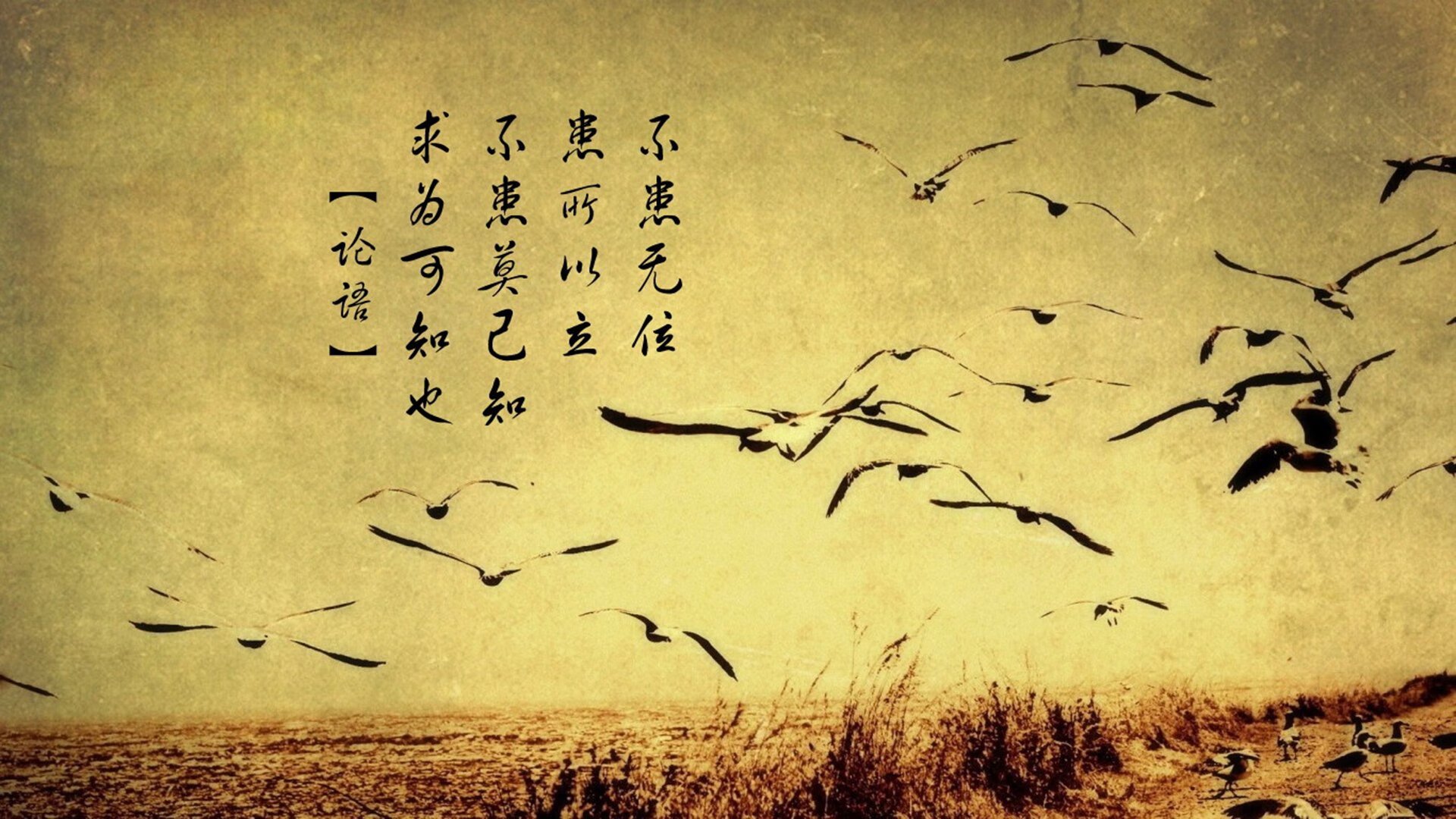 中轴之核，当莱万成为节拍器—2026世界杯E组波兰vs加纳的唯一性叙事